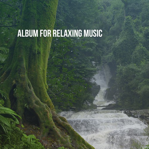 Album for Relaxing Music