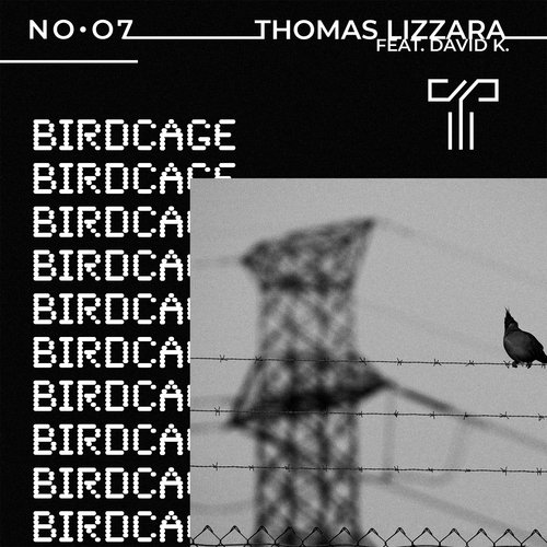 Birdcage_poster_image