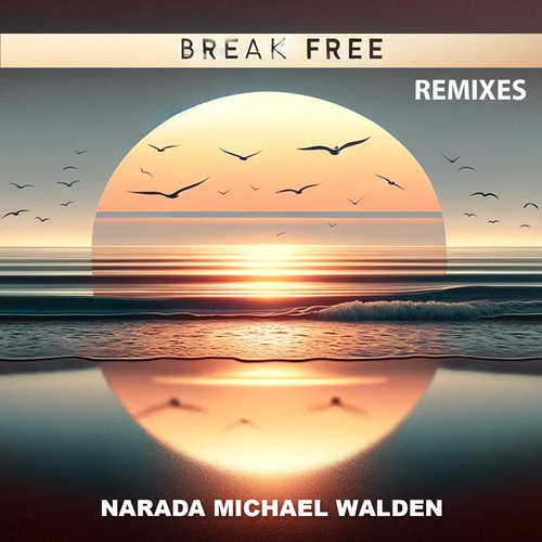 Break Free (Remixes)_poster_image