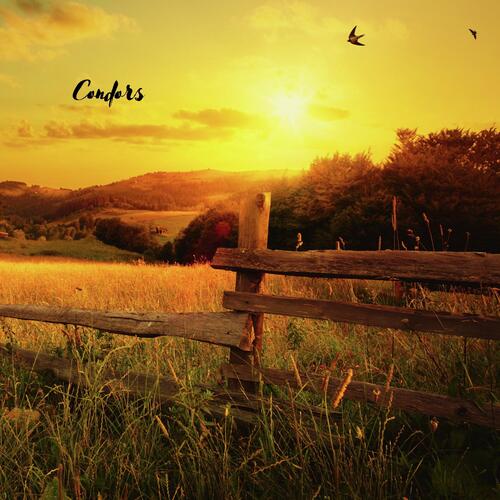 Condors cover art