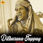 Dilbarana Tappay