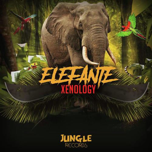 An Elephant Goes Like This And That - Song Download from In The Jungle @  JioSaavn