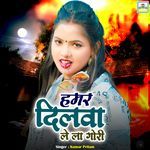 Hamar Dilwa Le La Gori