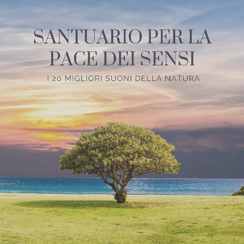 Foresta incantata cover art