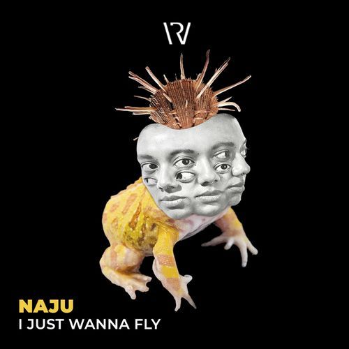 I Just Wanna Fly