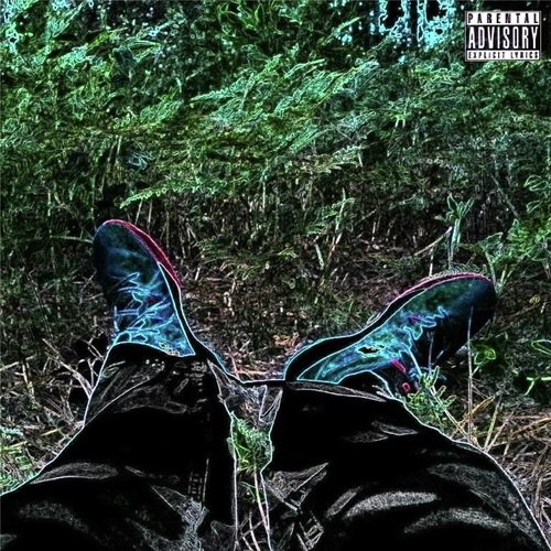 STARS cover art