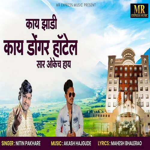 Kay Zadi Kay Dongar Hotel Sar Ok Cha Hay (feat. Ram Patil)