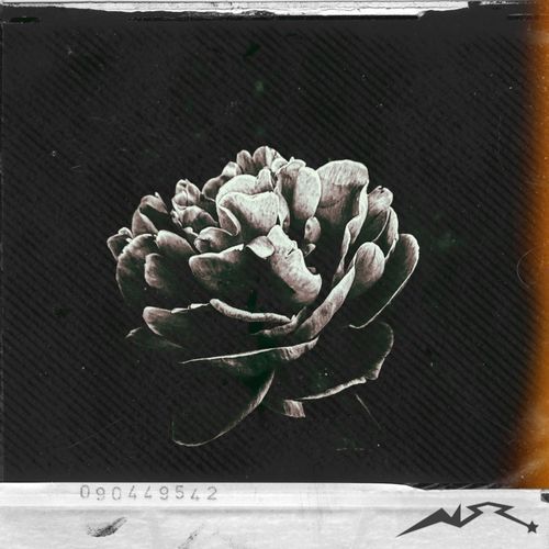 *LAPAUSE* cover art