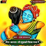 Mera Kanha To Mujhko Dikh Gaya Re