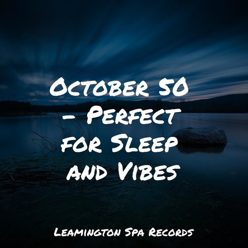 October 50 - Perfect for Sleep and Vibes_poster_image