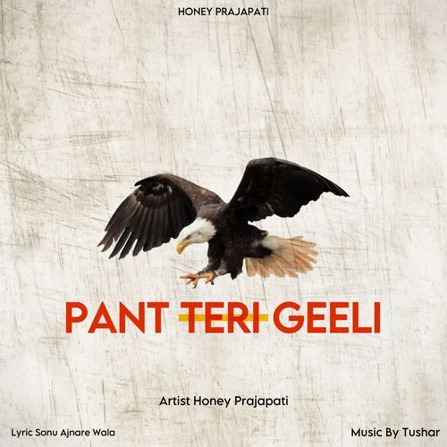 Pant Teri Geeli