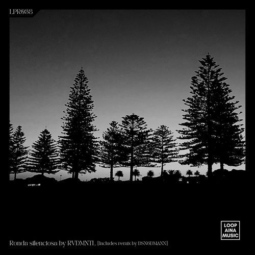Fatigada del baile (DSNGDMANN Remix) cover art