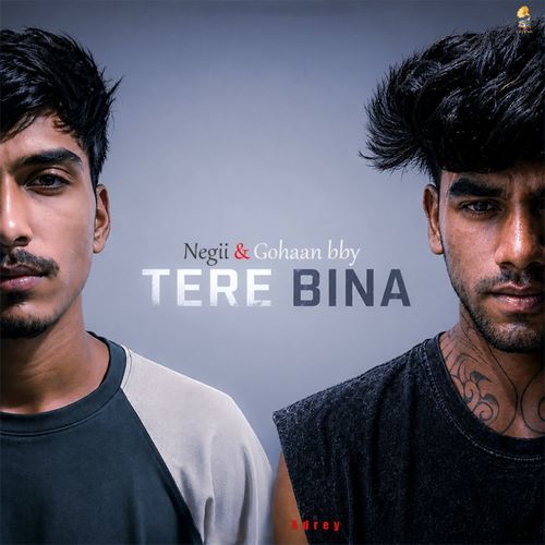 Tere Bina