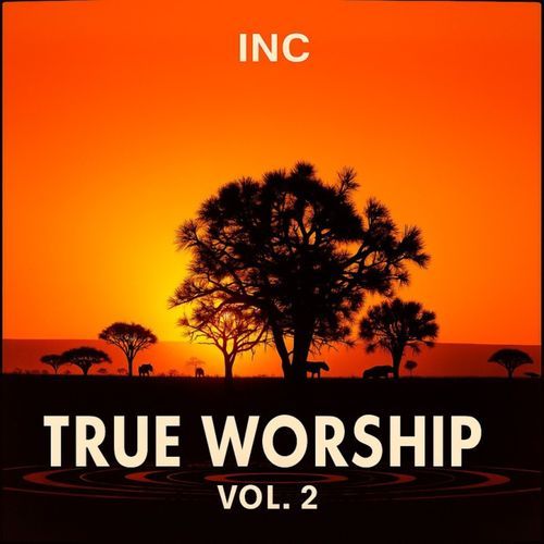 True Worship, Vol. 2