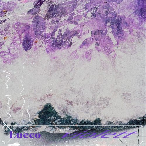 Violet cover art