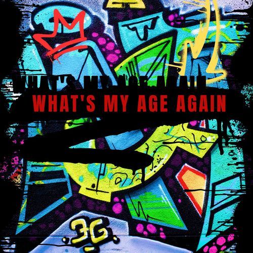 What's My Age Again ?_poster_image