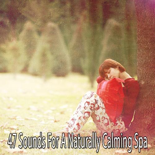 47 Sounds For A Naturally Calming Spa