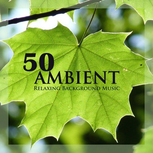 50 Ambient - Relaxing Background Music & Instrumental Meditation Song with Nature Sounds for Wellness, Spa and Relaxation (Gold Collection)