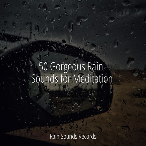 Nature's Symphony cover art