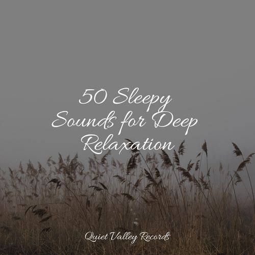 50 Sleepy Sounds for Deep Relaxation