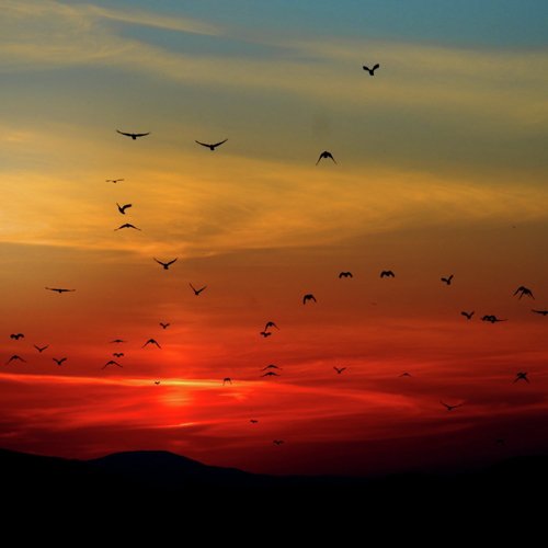 50 Tracks for Absolute Peace & Calmness