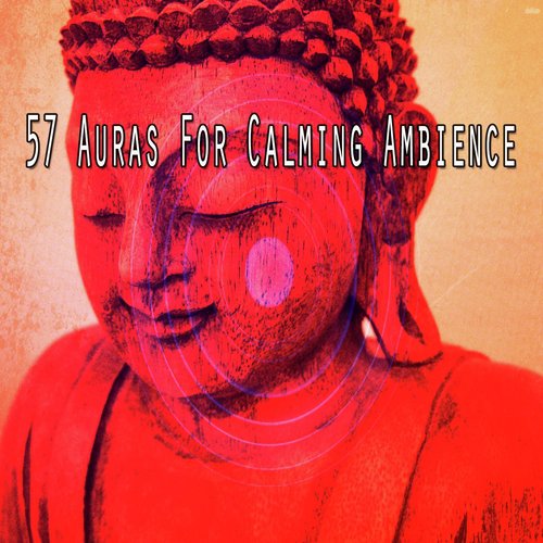 57 Auras for Calming Ambience