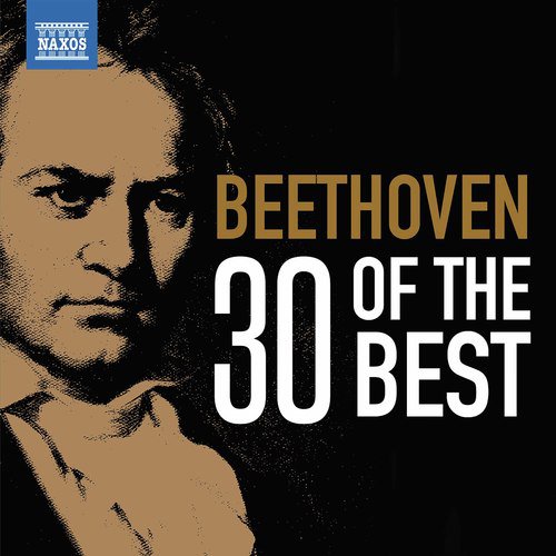 Symphony No. 9 in D Minor, Op. 125 "Choral": IV. Finale. Presto