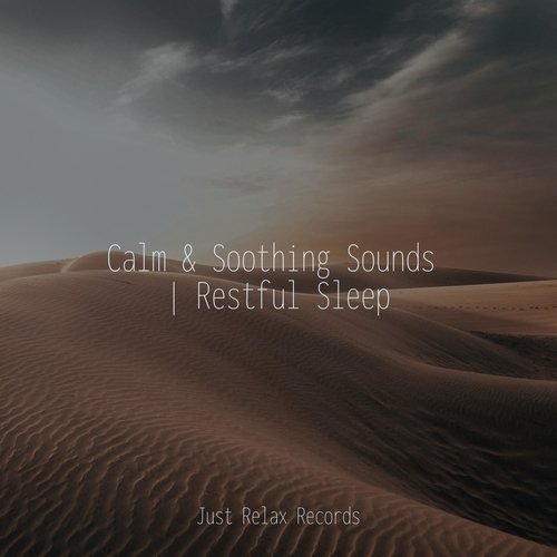 Calm & Soothing Sounds | Restful Sleep