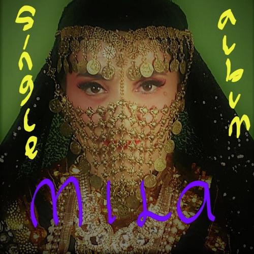 Cinta Kura-Kura