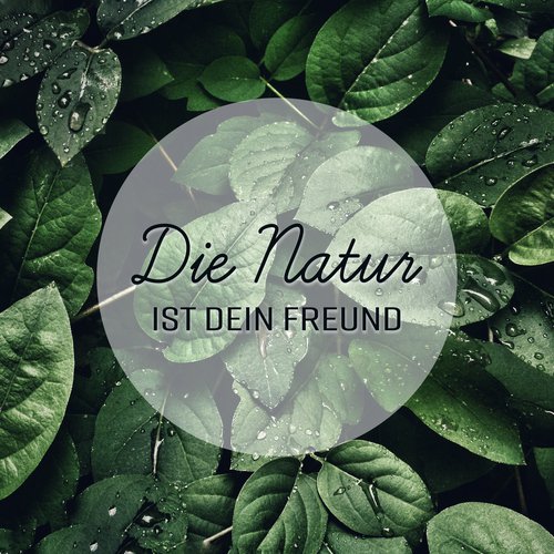 Die Natur ist dein Freund