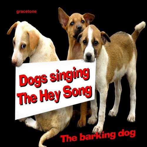 The Barking Dogs
