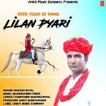 Lilan Pyari (Veer Tejaji Dj Song)