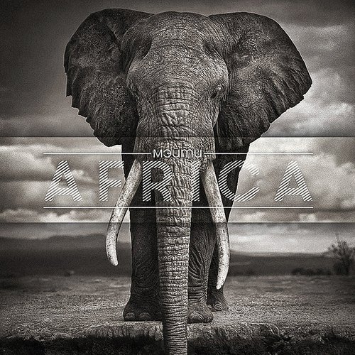 История cover art