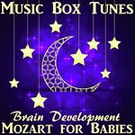 Mozart for Babies: Brain Development