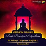 Nemi Niranjan Anjan Thase