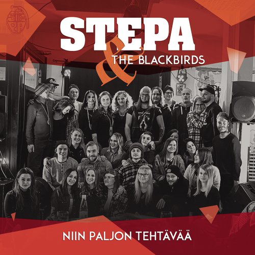 Niin paljon tehtävää (feat. The Blackbirds)_poster_image