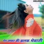 मेरा जम्फर की झलक मेवाती