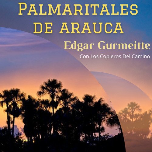 Palmaritales de Arauca cover art