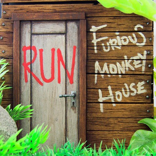 Furious Monkey House