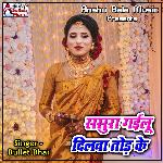 Sasura Gailu Dilwa Tod Ke
