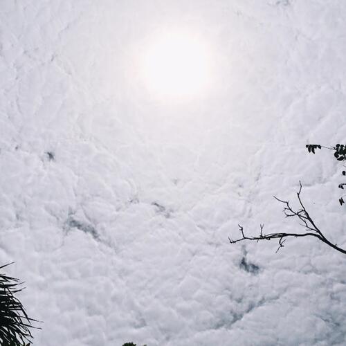 Sol Dando Vida cover art