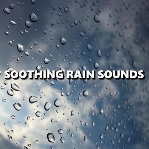 Exquisite Afternoon Rain Shower Sounds