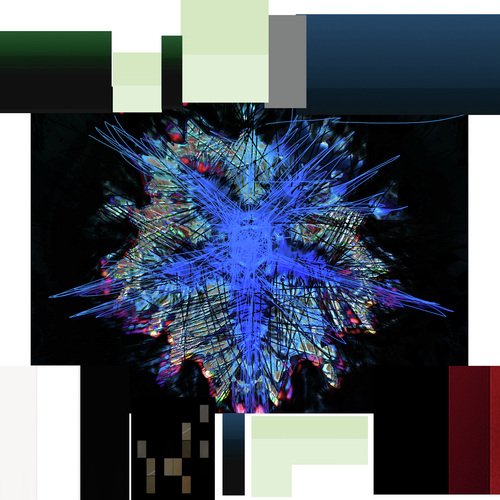 The Forest Has Wrapped Us Up cover art