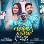 Tari Lagan Kankotri Aavi Mara Gher