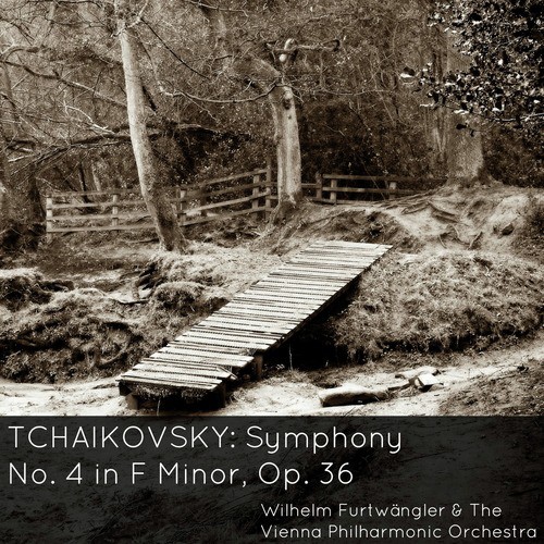 Symphony No. 4 in F Minor, Op. 36: II. Andantino in modo fi canzona - Più mosso - Tempo 1