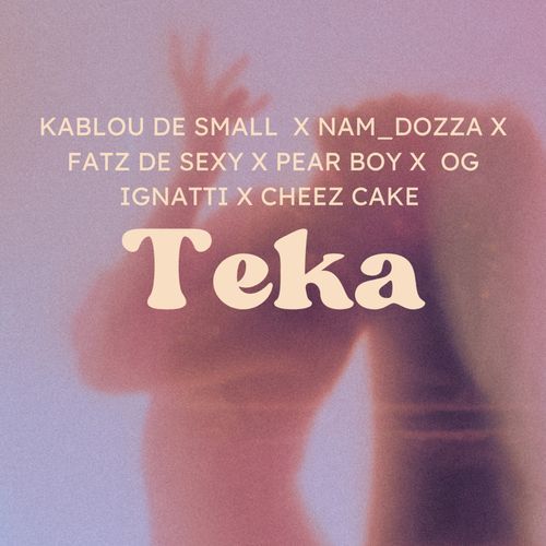 Teka (Radio Edit) cover art
