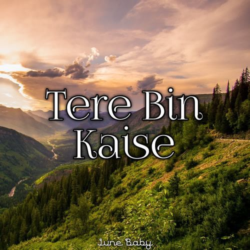Tere Bin Kaise