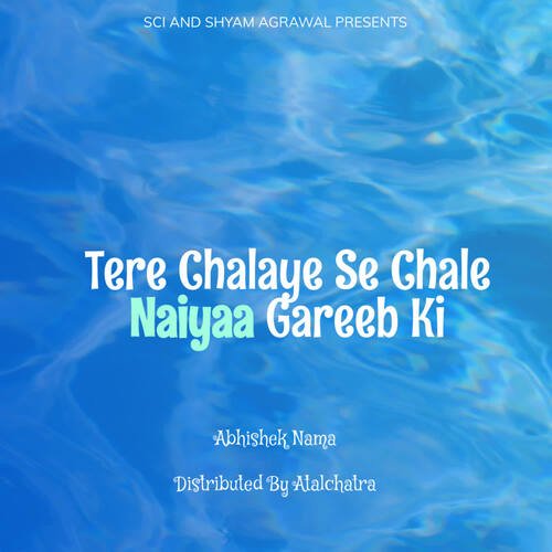 Tere Chalaye Se Chalein (Live) - Abhishek Nama