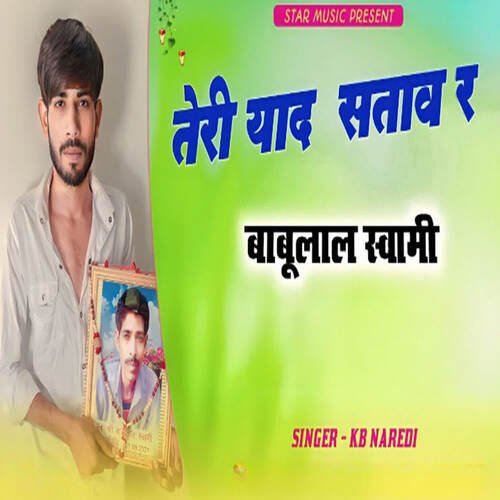 Teri Yad Satav Ra Babulal Swami cover art