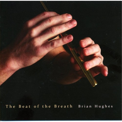 Hornpipes: The Plane of the Plank / The Pleasures of Hope (feat. Garry Ó Briain)